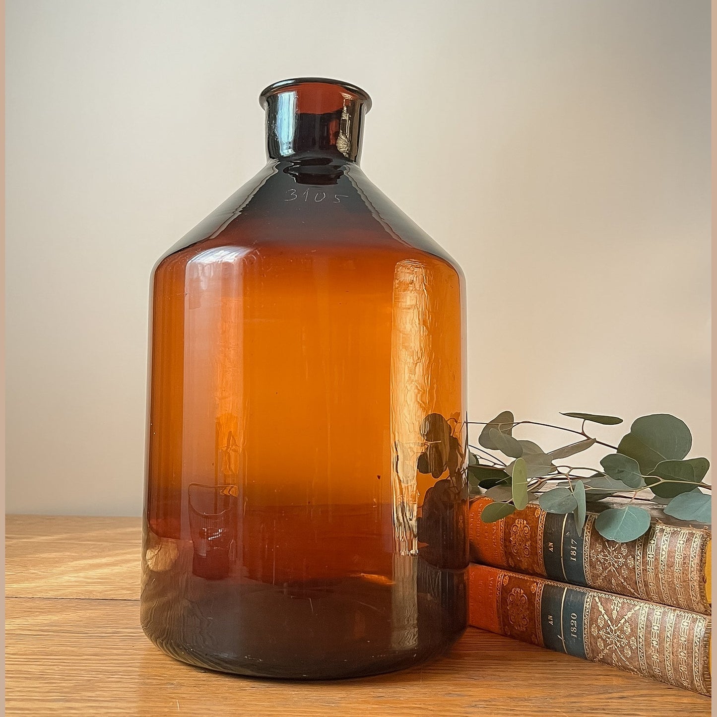 Glass - European Apothecary Jar Dark Brown #533
