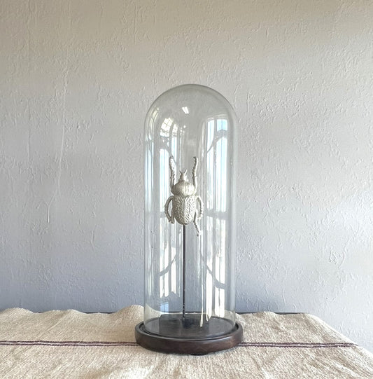 Vintage Relic Glass Domes