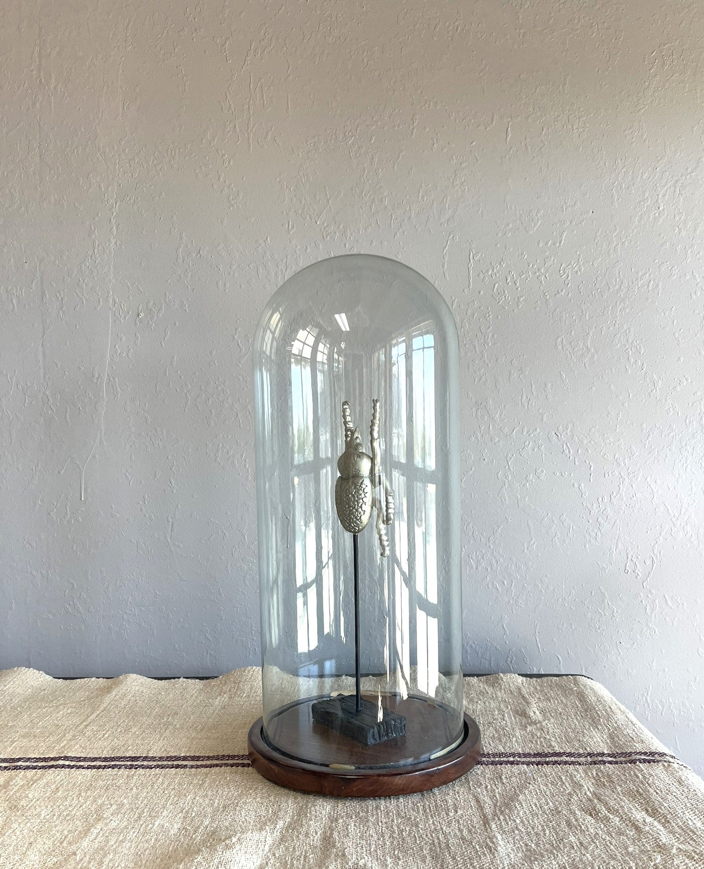 Vintage Relic Glass Domes