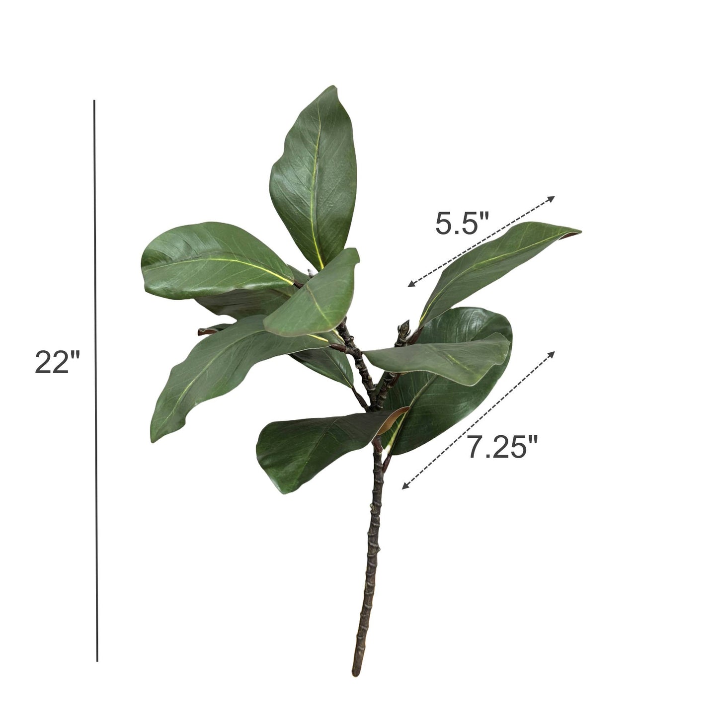 Faux Magnolia Branch